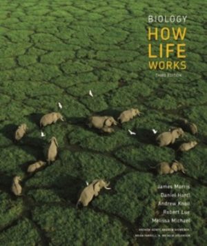 Biology How Life Works 3rd Edition Morris TEST BANK