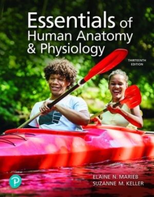 Essentials of Human Anatomy & Physiology 13th Edition Marieb TEST BANK