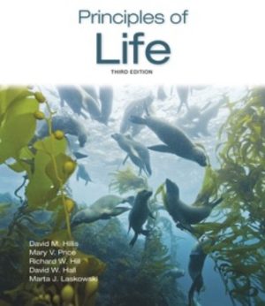 Principles of Life 3rd Edition Hillis TEST BANK